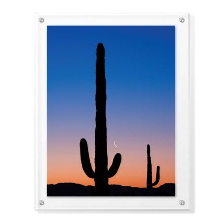 Donald Paulson Limited Edition Ready to Hang Giclee on Clear Acrylic: "Arizona Moon & Cactus"