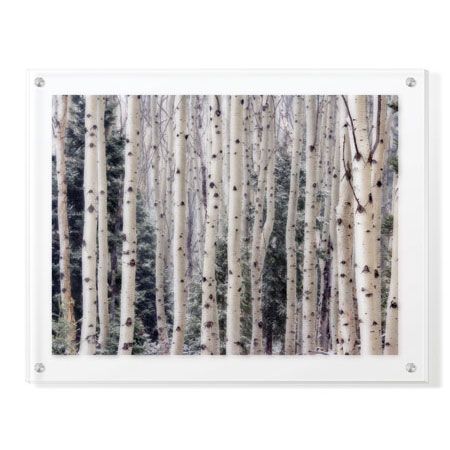 Donald Paulson Limited Edition Ready to Hang Giclee on Clear Acrylic: "Aspen Forest"