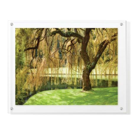 Donald Paulson Limited Edition Ready to Hang Giclee on Clear Acrylic: "Bainbridge Island Willow"