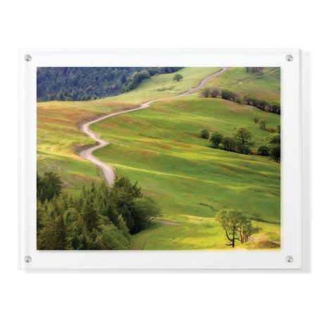 Donald Paulson Limited Edition Ready to Hang Giclee on Clear Acrylic: "Bald Hills Redwoods National Park"