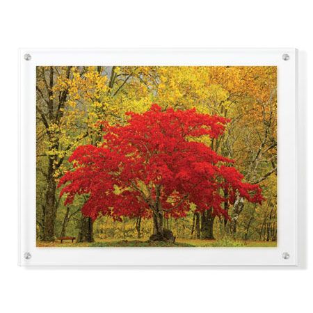 Donald Paulson Limited Edition Ready to Hang Giclee on Clear Acrylic: "Cascade Mountains Fall Colors"