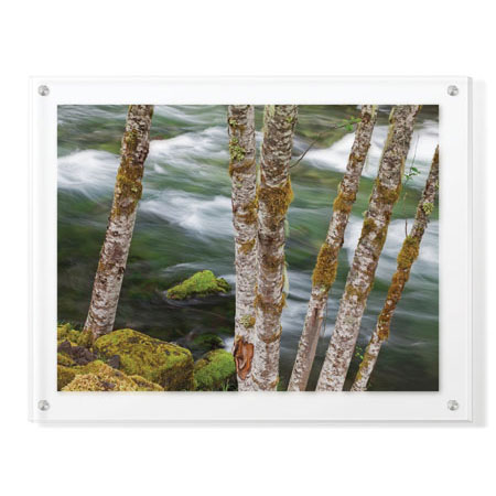 Donald Paulson Limited Edition Ready to Hang Giclee on Clear Acrylic: "Clackamas River II"