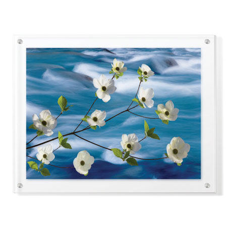 Donald Paulson Limited Edition Ready to Hang Giclee on Clear Acrylic: "Dogwood River"
