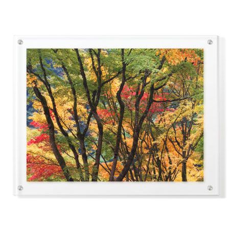 Donald Paulson Limited Edition Ready to Hang Giclee on Clear Acrylic: "Fall Foliage"