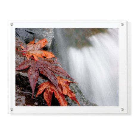 Donald Paulson Limited Edition Ready to Hang Giclee on Clear Acrylic: "Fall Leaves and Stream"