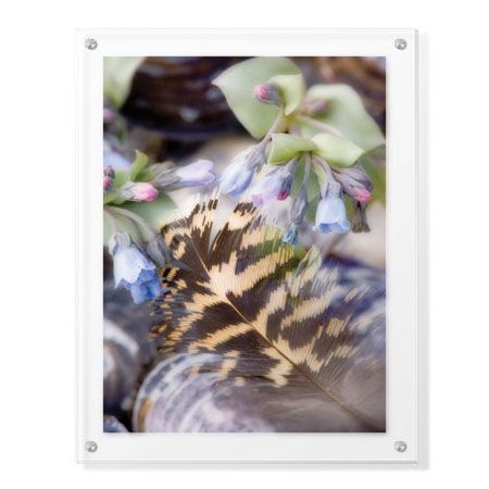 Donald Paulson Limited Edition Ready to Hang Giclee on Clear Acrylic: "Feather and Flowers"