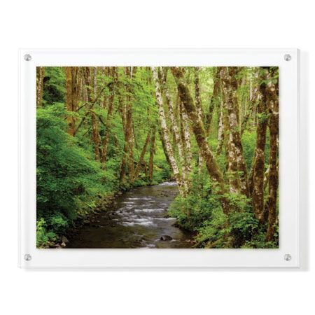 Donald Paulson Limited Edition Ready to Hang Giclee on Clear Acrylic: "Forest Stream II"
