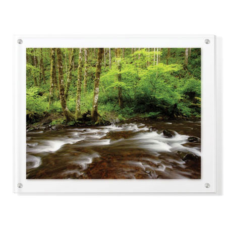 Donald Paulson Limited Edition Ready to Hang Giclee on Clear Acrylic: "Forest Stream III"