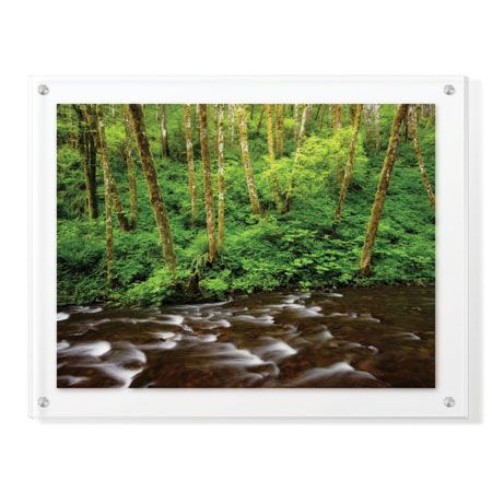 Donald Paulson Limited Edition Ready to Hang Giclee on Clear Acrylic: "Forest Stream IV"