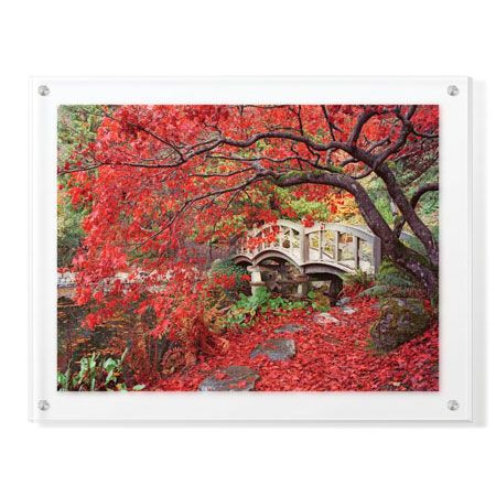 Donald Paulson Limited Edition Ready to Hang Giclee on Clear Acrylic: "Japanese Gardens"