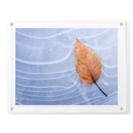 Donald Paulson Limited Edition Ready to Hang Giclee on Clear Acrylic: "Leaf Frozen in Ice"