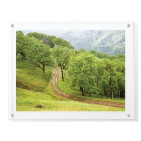 Donald Paulson Limited Edition Ready to Hang Giclee on Clear Acrylic: "Oak Trees and Road"