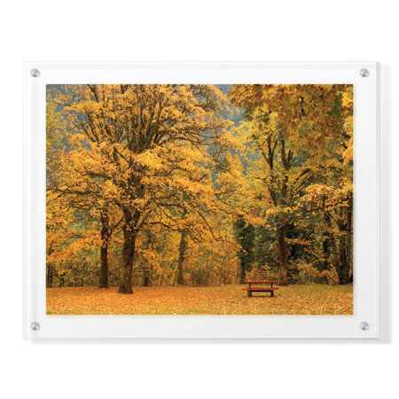 Donald Paulson Limited Edition Ready to Hang Giclee on Clear Acrylic: "Park Bench in Fall"