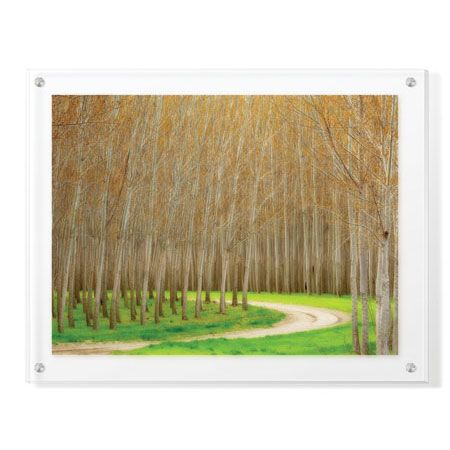 Donald Paulson Limited Edition Ready to Hang Giclee on Clear Acrylic: "Poplar Trees and Road"