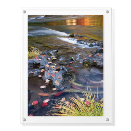Donald Paulson Limited Edition Ready to Hang Giclee on Clear Acrylic: "Rogue River Leaves in Motion"
