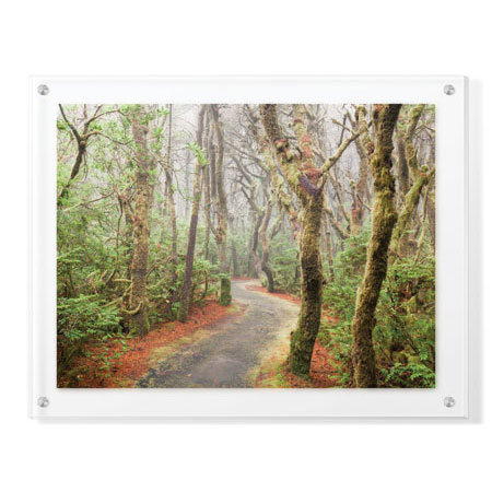 Donald Paulson Limited Edition Ready to Hang Giclee on Clear Acrylic: "Washburne State Park I"