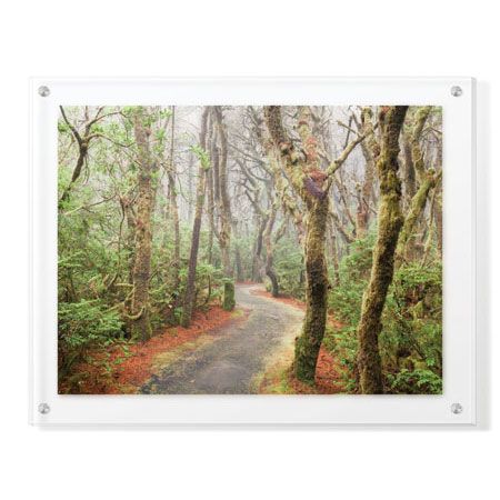 Donald Paulson Limited Edition Ready to Hang Giclee on Clear Acrylic: "Washburne State Park I"