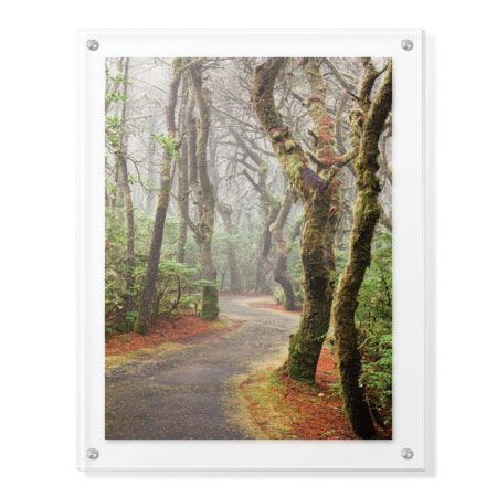 Donald Paulson Limited Edition Ready to Hang Giclee on Clear Acrylic: "Washburne State Park II"