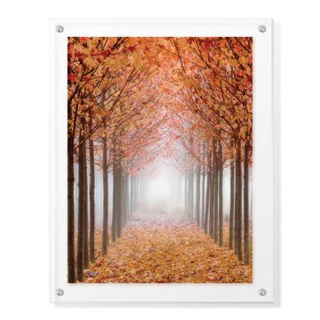 Donald Paulson Limited Edition Ready to Hang Giclee on Clear Acrylic: "Willamette Valley Maples I"