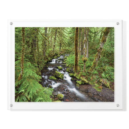 Donald Paulson Limited Edition Ready to Hang Giclee on Clear Acrylic: "Wine Creek II"