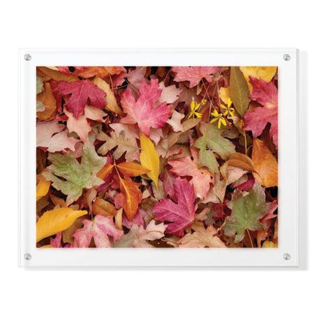 Donald Paulson Limited Edition Ready to Hang Giclee on Clear Acrylic: "Zion National Park III"