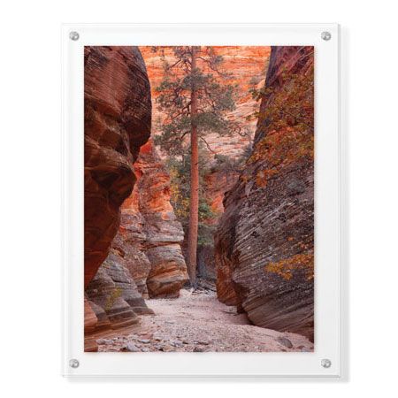 Donald Paulson Limited Edition Ready to Hang Giclee on Clear Acrylic: "Zion Park Canyon"