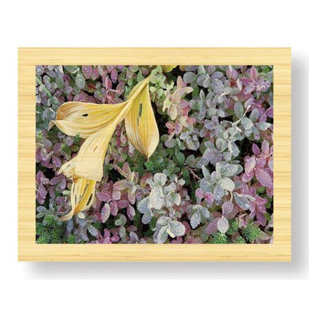 Donald Paulson Limited Edition Ready to Hang Giclee on Sustainable Bamboo: "Alpine Frost"