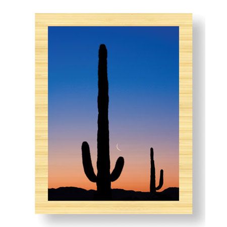 Donald Paulson Limited Edition Ready to Hang Giclee on Sustainable Bamboo: "Arizona Moon & Cactus"