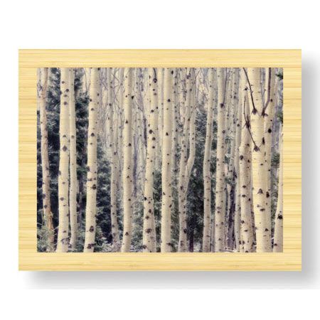 Donald Paulson Limited Edition Ready to Hang Giclee on Sustainable Bamboo: "Aspen Forest"