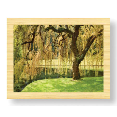 Donald Paulson Limited Edition Ready to Hang Giclee on Sustainable Bamboo: "Bainbridge Island Willow"
