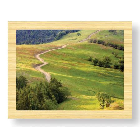 Donald Paulson Limited Edition Ready to Hang Giclee on Sustainable Bamboo: "Bald Hills Redwoods National Park"