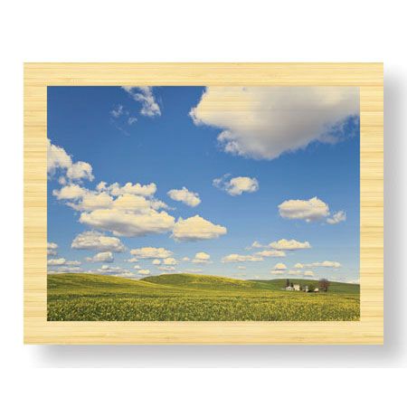 Donald Paulson Limited Edition Ready to Hang Giclee on Sustainable Bamboo: "Canola Farm"