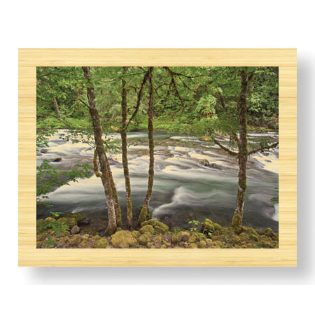 Donald Paulson Limited Edition Ready to Hang Giclee on Sustainable Bamboo: "Clackamas River I"