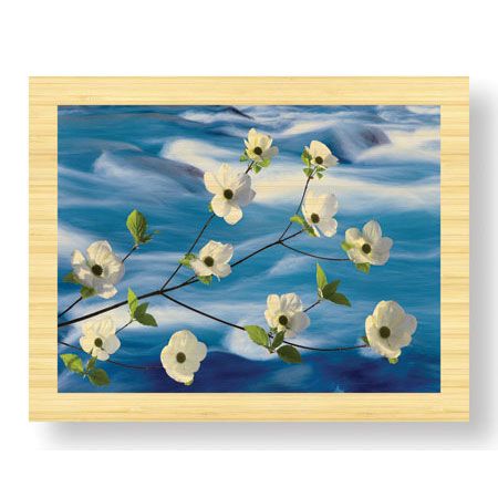 Donald Paulson Limited Edition Ready to Hang Giclee on Sustainable Bamboo: "Dogwood River"