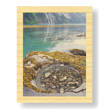 Donald Paulson Limited Edition Ready to Hang Giclee on Sustainable Bamboo: "Endicott Arm Tide Pool"