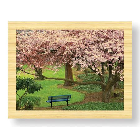 Donald Paulson Limited Edition Ready to Hang Giclee on Sustainable Bamboo: "Evergreen Park"