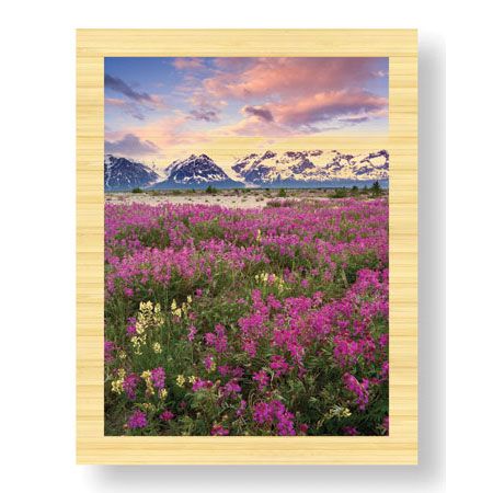 Donald Paulson Limited Edition Ready to Hang Giclee on Sustainable Bamboo: "Fairweather Range I"