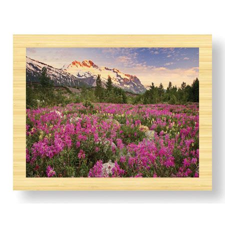 Donald Paulson Limited Edition Ready to Hang Giclee on Sustainable Bamboo: "Fairweather Range II"