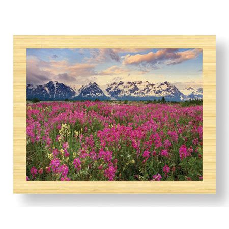 Donald Paulson Limited Edition Ready to Hang Giclee on Sustainable Bamboo: "Fairweather Range III"