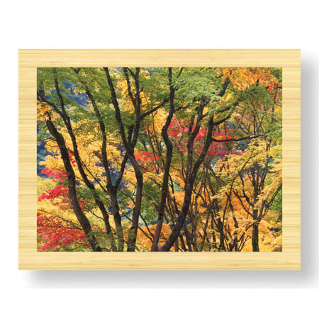 Donald Paulson Limited Edition Ready to Hang Giclee on Sustainable Bamboo: "Fall Foliage"