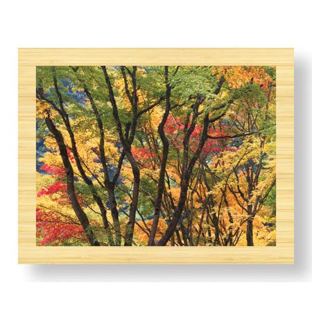 Donald Paulson Limited Edition Ready to Hang Giclee on Sustainable Bamboo: "Fall Foliage"