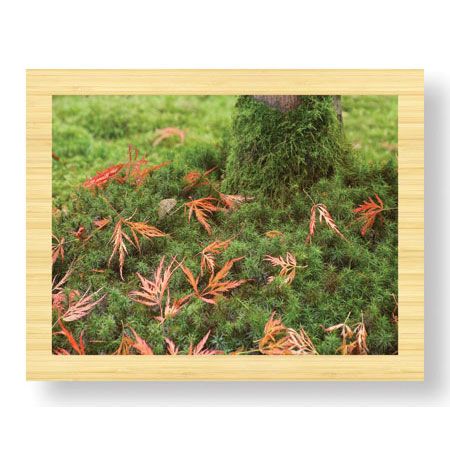 Donald Paulson Limited Edition Ready to Hang Giclee on Sustainable Bamboo: "Fall Leaves"