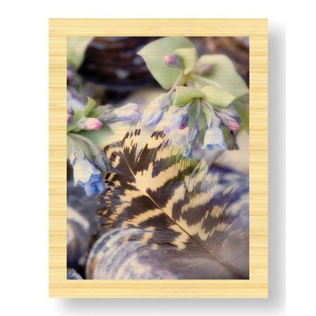 Donald Paulson Limited Edition Ready to Hang Giclee on Sustainable Bamboo: "Feather and Flowers"