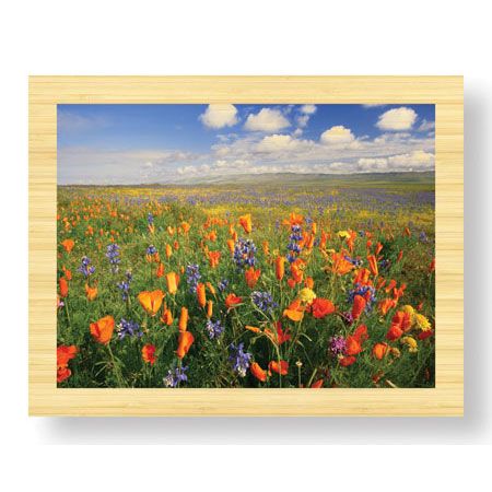 Donald Paulson Limited Edition Ready to Hang Giclee on Sustainable Bamboo: "Flowers to the Horizon II"