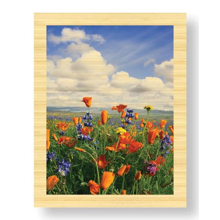 Donald Paulson Limited Edition Ready to Hang Giclee on Sustainable Bamboo: "Flowers to the Horizon III"