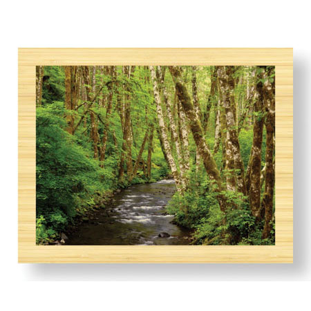 Donald Paulson Limited Edition Ready to Hang Giclee on Sustainable Bamboo: "Forest Stream II"