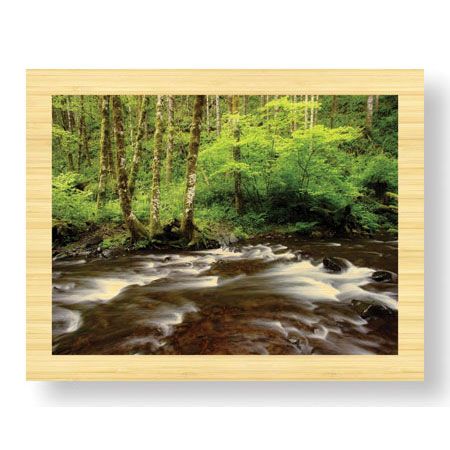Donald Paulson Limited Edition Ready to Hang Giclee on Sustainable Bamboo: "Forest Stream III"