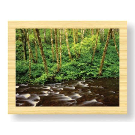 Donald Paulson Limited Edition Ready to Hang Giclee on Sustainable Bamboo: "Forest Stream IV"