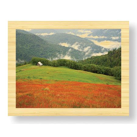 Donald Paulson Limited Edition Ready to Hang Giclee on Sustainable Bamboo: "Historic Barn at Redwoods Forest"