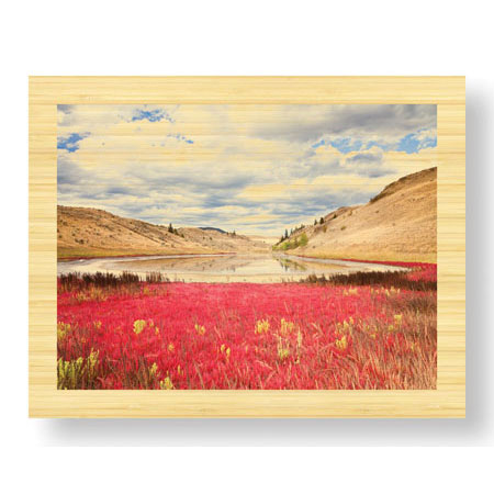 Donald Paulson Limited Edition Ready to Hang Giclee on Sustainable Bamboo: "Lac Du Bois Grasslands Park I"
